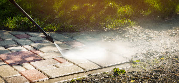 Animal Enclosure Cleaning in State College, PA
